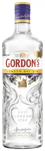 Gall & Gall Gordon's London Dry 70CL Mixen aanbieding