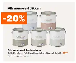 Kwantum Bijv. muurverf Professional aanbieding