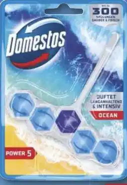 Combi Domestos Power 5 WC Stein aanbieding