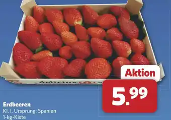 Combi Erdbeeren aanbieding