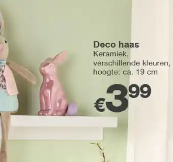 Kik Deco haas aanbieding