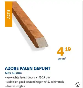 Jongeneel Azobe palen gepunt aanbieding