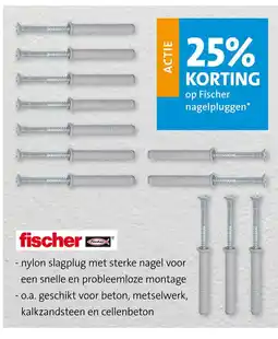 Jongeneel Op fischer nagelpluggen aanbieding