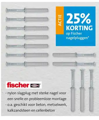 Jongeneel Op fischer nagelpluggen aanbieding