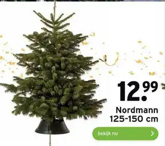 GAMMA Nordmann 125-150 cm aanbieding