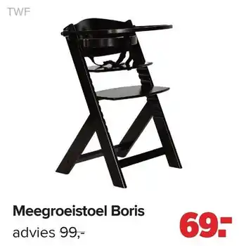 Baby-Dump TWF Meegroeistoel boris aanbieding