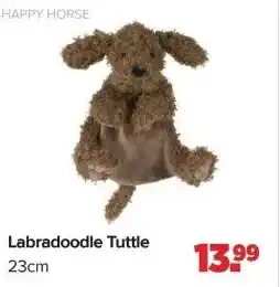 Baby-Dump Labradoodle Tuttle aanbieding