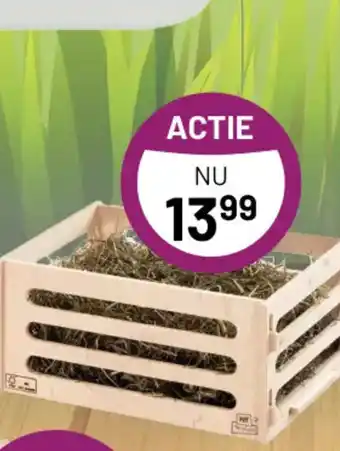 Pets & Co Leuke hooiruif aanbieding