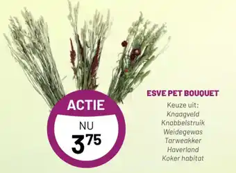 Pets & Co Esve pet bouquet aanbieding