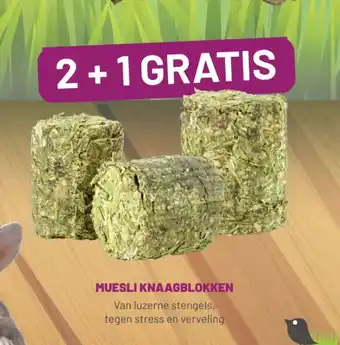 Pets & Co Muesli knaagblokken aanbieding