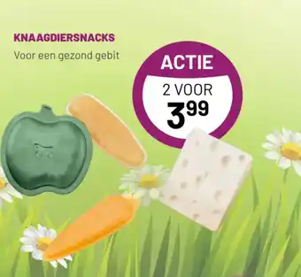 Pets & Co Knaagdiersnacks aanbieding