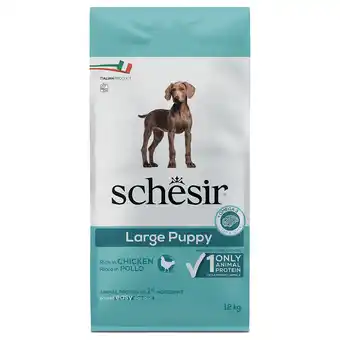 Zooplus 2x12kg Schesir Dog Large Puppy met kip droogvoer aanbieding