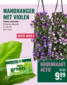 GroenRijk Wandhanger met violen aanbieding