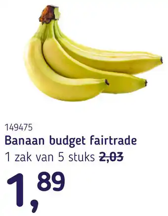 Van Hoeckel Banaan budget fairtrade aanbieding