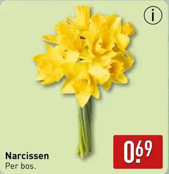 ALDI Narcissen aanbieding