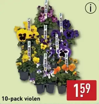 ALDI 10-pack violen aanbieding