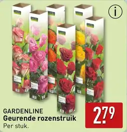 ALDI Gardenline geurende rozenstruik aanbieding