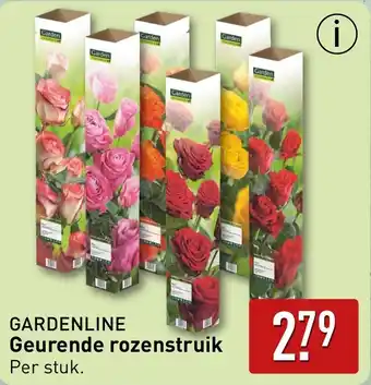 ALDI Gardenline geurende rozenstruik aanbieding