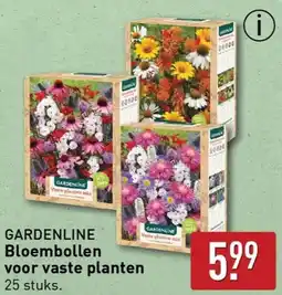 ALDI Gardenline bloembollen voor vaste planten aanbieding