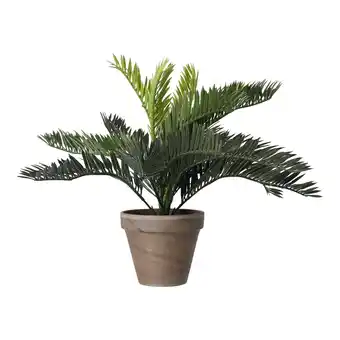 Van Cranenbroek Palm Cycas in pot grijs 33x34cm aanbieding