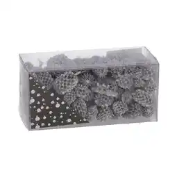 Van Cranenbroek Exotische mix natuur zilver 6x6x14cm 6ass nc aanbieding