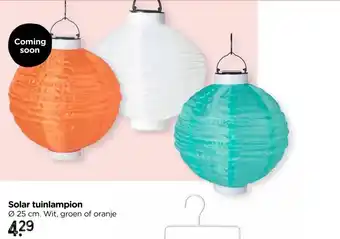 Xenos Solar tuinlampion - groen - ø25 cm aanbieding