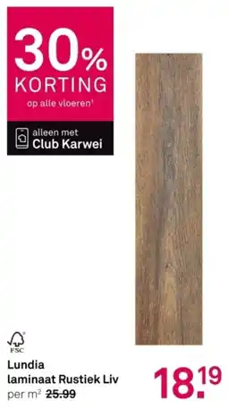 Karwei Lundia laminaat Rustiek Liv aanbieding