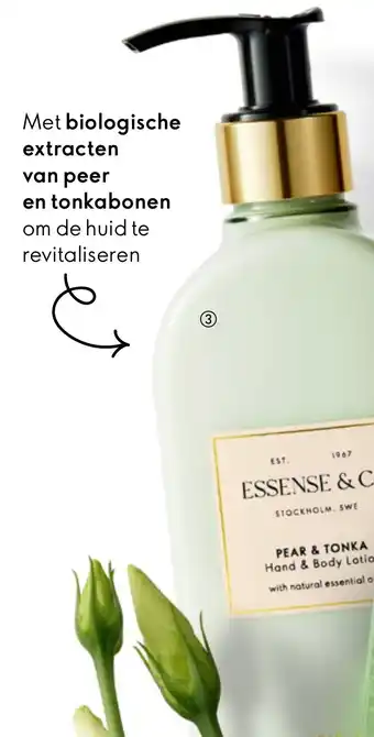 Oriflame Essense&Co. Pear & Tonka Hand & Body Lotion aanbieding