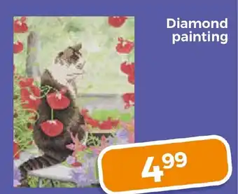 Trekpleister Diamond painting aanbieding