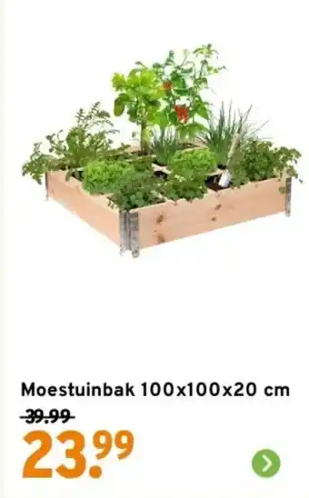 GAMMA Moestuinbak aanbieding