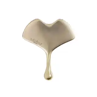 Douglas Sisley Gingko Gua Sha aanbieding