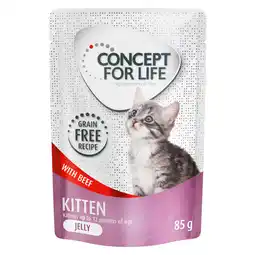 Zooplus Concept for Life graanvrij 12 x 85 g Kattenvoer voor een probeerprijs! - Kitten Rund in Gelei aanbieding