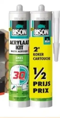 GAMMA Bison acrylaatkit duo aanbieding