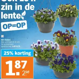 Albert Heijn AH Violen aanbieding