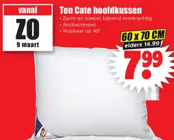 Dirk Ten Cate hoofdkussen aanbieding