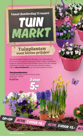 PLUS Voorjaarsbloeiers aanbieding