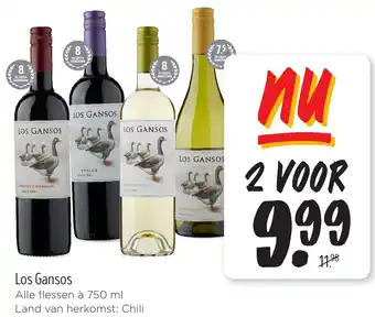 Jumbo Los Gansos aanbieding