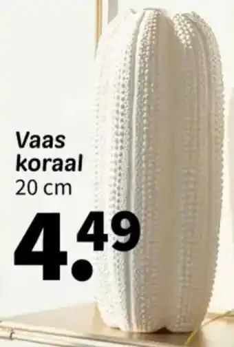 Wibra Vaas koraal aanbieding