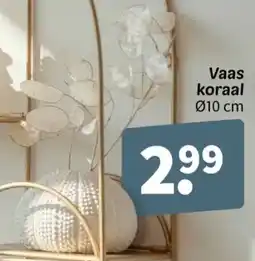 Wibra Vaas koraal aanbieding