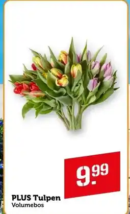 Coop PLUS Tulpen Volumebos aanbieding