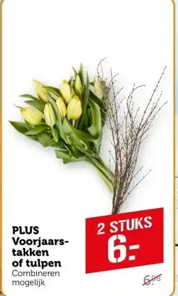 Coop PLUS Voorjaars  takken of tulpen aanbieding