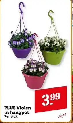 Coop PLUS Violen in hangpot aanbieding