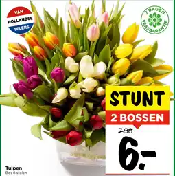 Vomar Voordeelmarkt Tulpen aanbieding