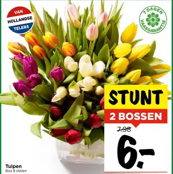 Vomar Voordeelmarkt Tulpen aanbieding