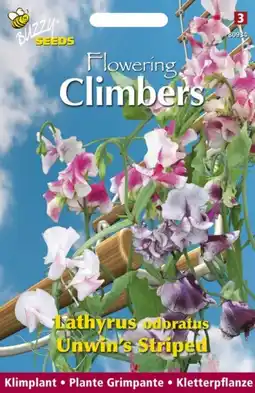 Welkoop Buzzy Climbers Lathyrus Unwins - Bloemzaden - Reuk- of siererwt (Lathyrus) aanbieding