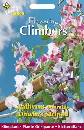 Welkoop Buzzy Climbers Lathyrus Unwins - Bloemzaden - Reuk- of siererwt (Lathyrus) aanbieding