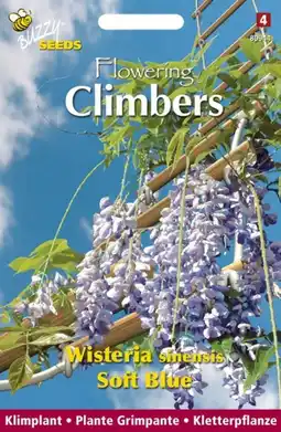 Welkoop Buzzy Climbers Wisteria Soft Blue - Bloemzaden - Blauweregen (Wisteria) aanbieding