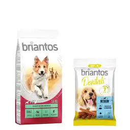 Zooplus 14kg Briantos Adult Lam & Rijst Honden Droogvoer + Dental Medium Hondensnacks aanbieding