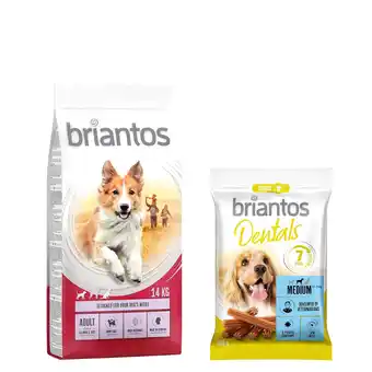 Zooplus 14kg Briantos Adult Zalm & Rijst Honden Droogvoer + Dental Medium Hondensnacks aanbieding