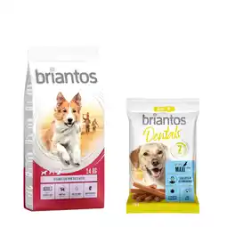 Zooplus 14 kg Briantos droogvoer + Dental Snack Maxi gratis! - Adult Zalm & Rijst + Dental Snack Maxi aanbieding